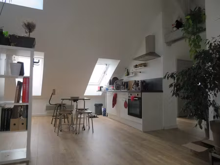 charmant t2 45m² (74m² utile) lille centre
