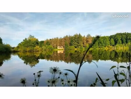 domaine de 8ha  étangs  bois  hébergements insolites et maison