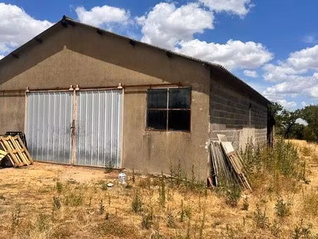 hangar avec terrain