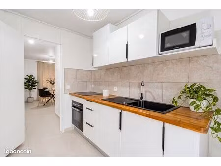 appartement t3 meublé 60 m²