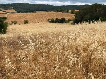 terrain agricole