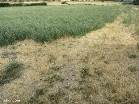 terrain agricole ou de loisir ( trèbes )