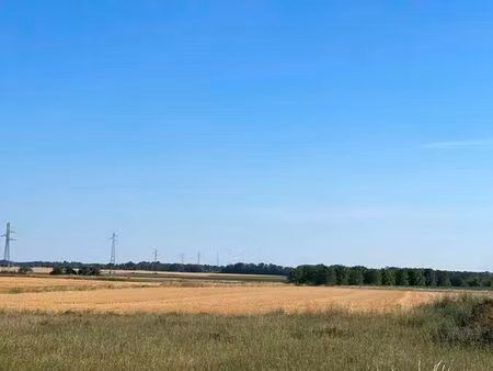 terrain 1325 m² montaulin