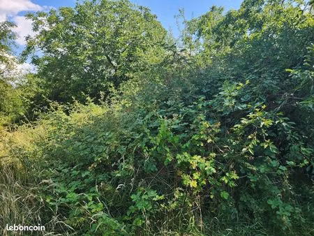 terrain 3310 m² geraudot