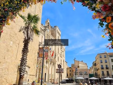 immeuble 100 m² narbonne