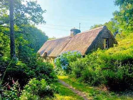 vente maison à pluméliau (56930) : à vendre / 116m² pluméliau