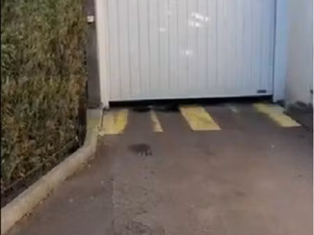 place de parking 198x370 soit 11m2