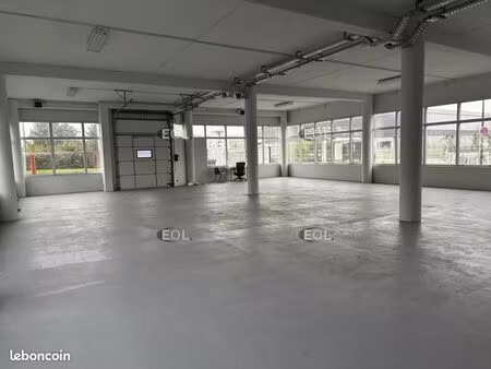 local bureaux 552 m²