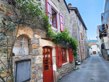 charmante maison de village proche millau et gorges du tarn