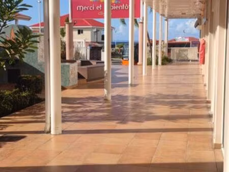 ? opportunité rare en guadeloupe – commerce clé en main à reprendre ?