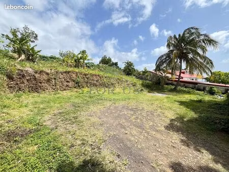 terrain 545 m² gourbeyre