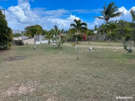 maison t3 avec deux terrasses et jardin arboré – sainte-anne