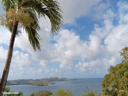 55m2 bungalow morne gommier le marin 2 carbets en terrasse  petite piscine cuisine extérie