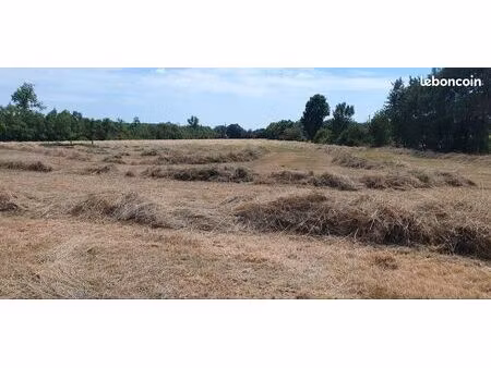 terrain agricole