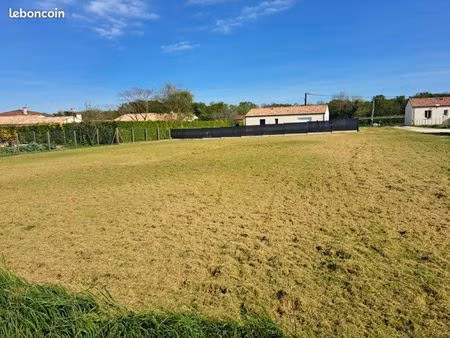 terrain constructible