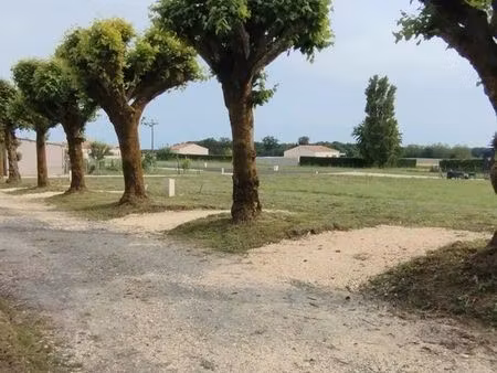 6 terrains viabilisés a 60 euros le m²