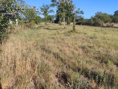 grand terrain constructible