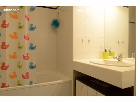 studio 1 pièce 19 m²