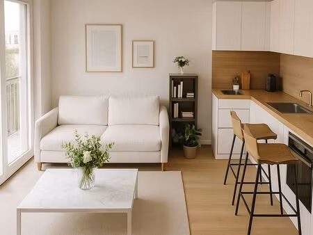 studio 1 pièce 45 m²