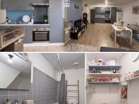 studio 45 m² refait à neuf – st florent sur cher