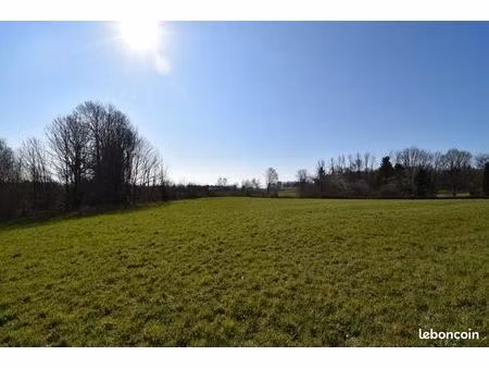 terrain 12 800 m² saint sornin lavolps