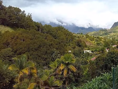 terrain 2480 m² salazie