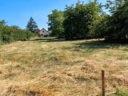 terrain constructible