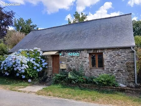 longère 3 pièces 56 m²