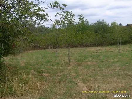 terrain constructible