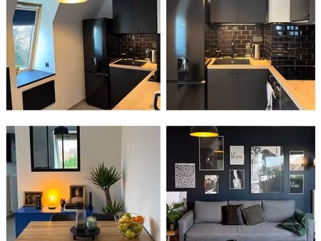 appartement meublé rénové  parking + cave