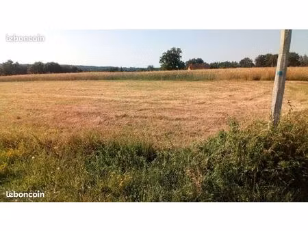 terrain constructible