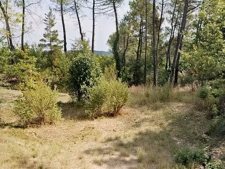 terrain 1 770 m² saint andre d allas