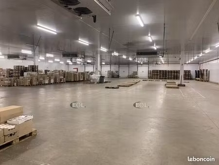 local logistique 4 892 m²