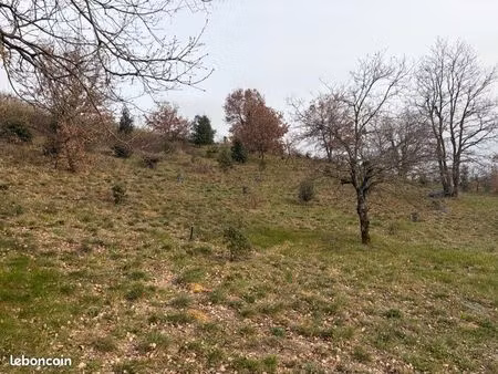 terrain chêne truffier