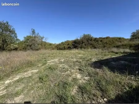 recherche terrain constructible