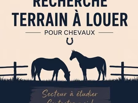 recherche terrain / champs