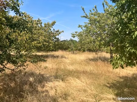 terrain avec fruitier