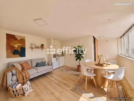 appartement 1 pièce 22 m²