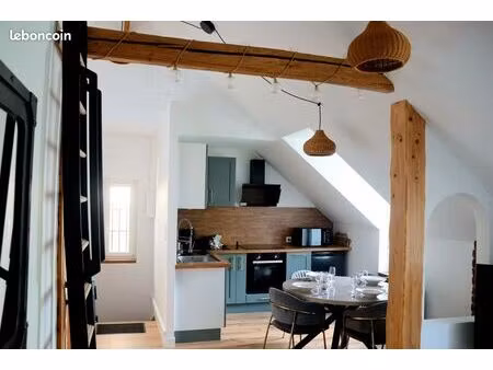 t2 duplex meublé 44 m² entièrement rénové - luisant