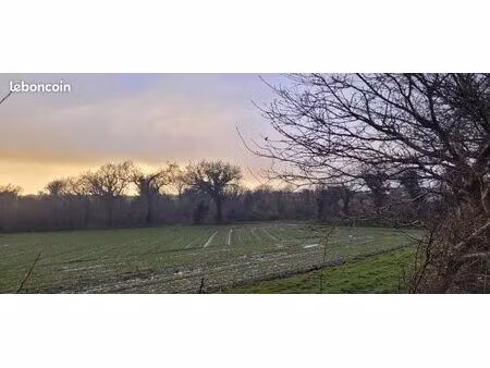 terrain 425 m² bourg blanc