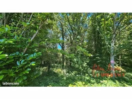 terrain 45 519 m² scaer