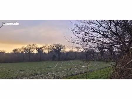 terrain 505 m² bourg blanc