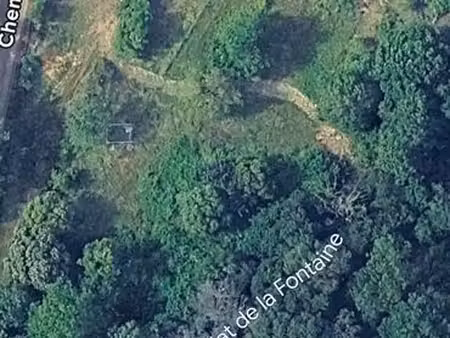 terrain 5000m2