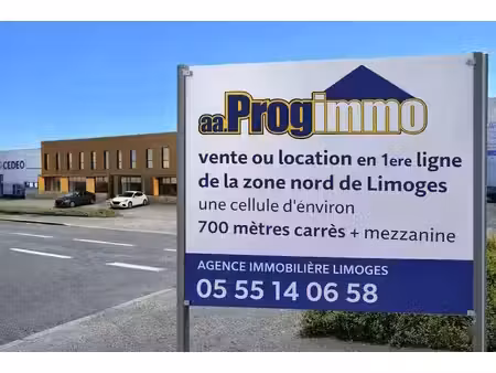 location commerce limoges 87280 706m²