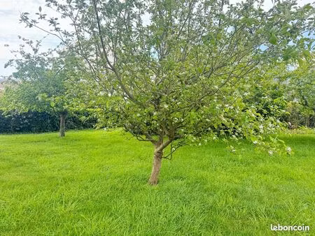 propriété 8 pièces 170 m²