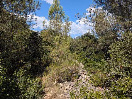 terrain en zone naturelle n de 2584m2