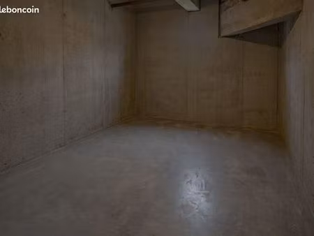 cave saine 11m²