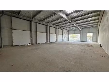location commerce perpignan 66100 293m²