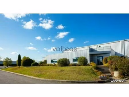 local d'activite 6234 m² lespinasse