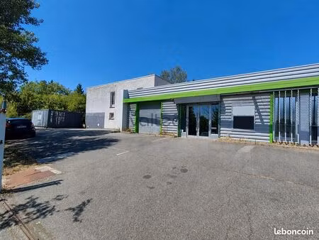 local d'activite 615 m² saint-jean